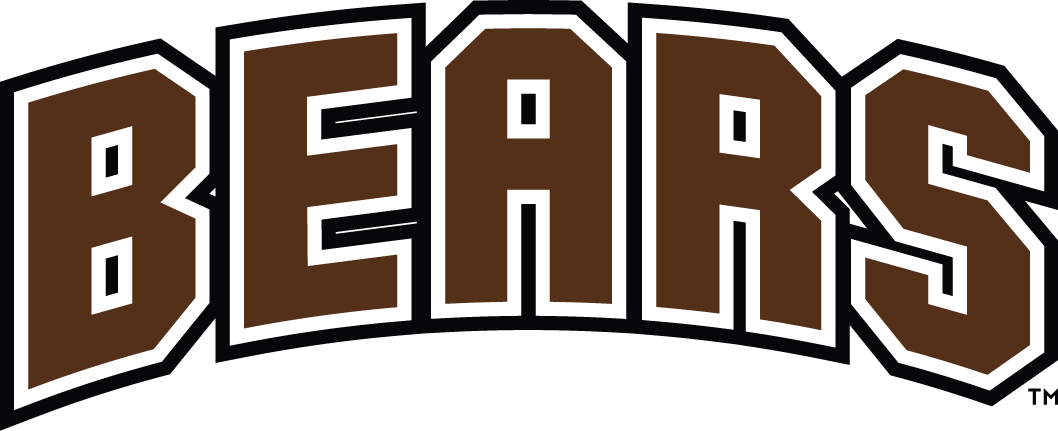 Brown Bears 1997-Pres Wordmark Logo v2 DIY iron on transfer (heat transfer)